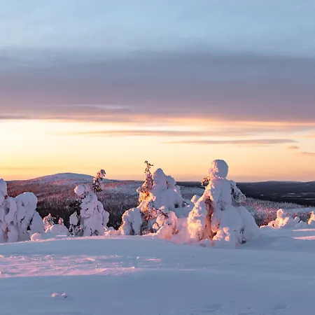 Апартаменты In Lapland - Alppilevi 1 B1